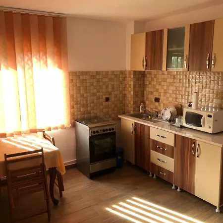 Guest house Pensiunea Cosmin Corbu (Constanta)