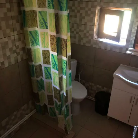 Pensiunea Cosmin Πανσιόν